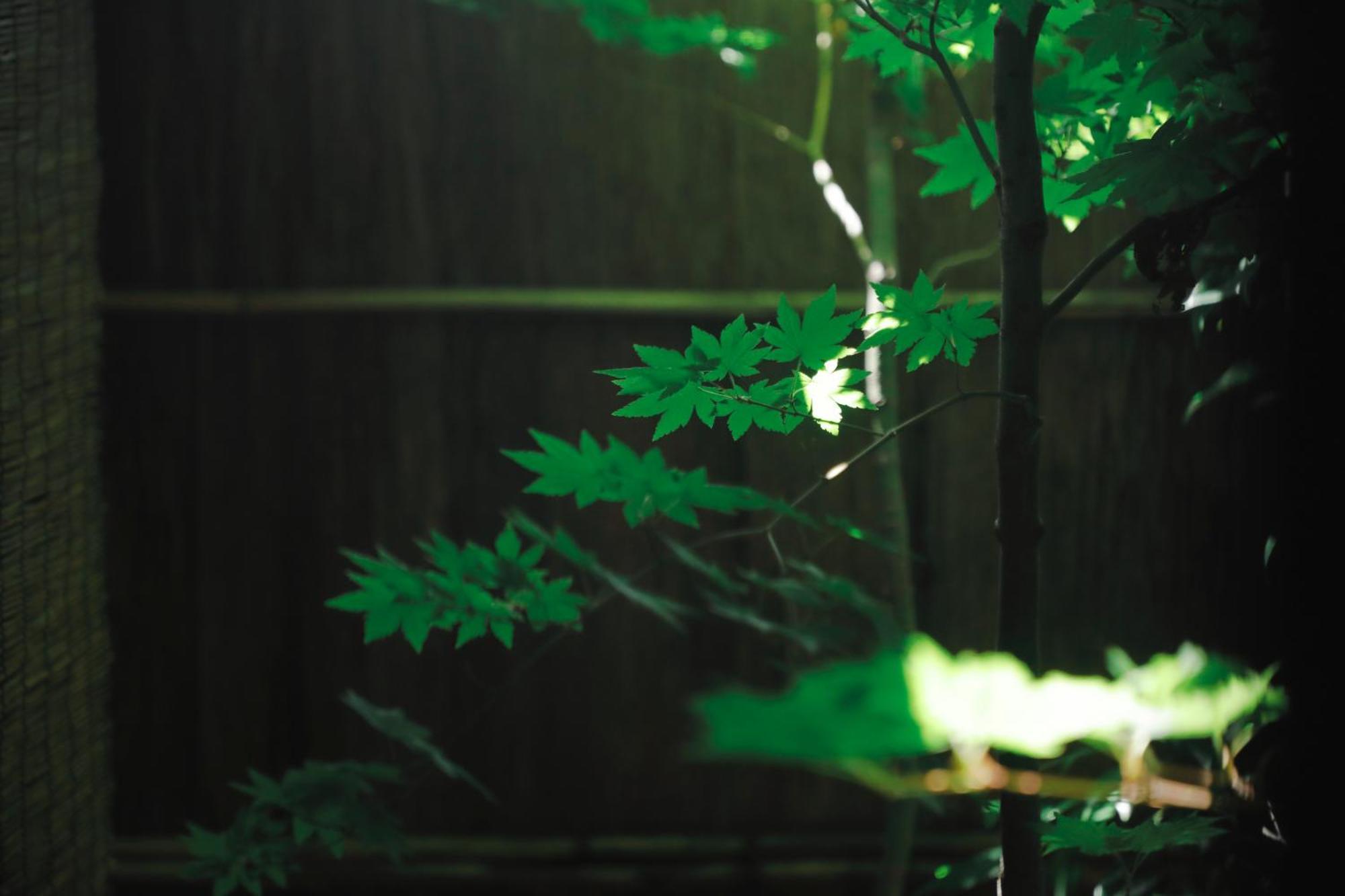Tsukihi House Holiday home Kyoto